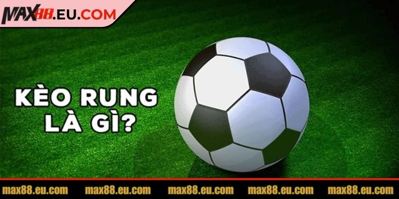 Tìm hiểu chi tiết về kèo Rung MAX88