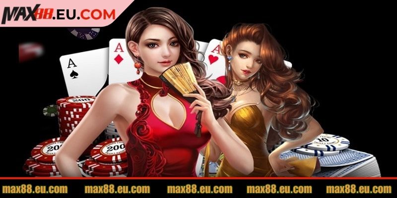 Cược thủ theo dõi kết quả ván bài cũ trước khi cá cược